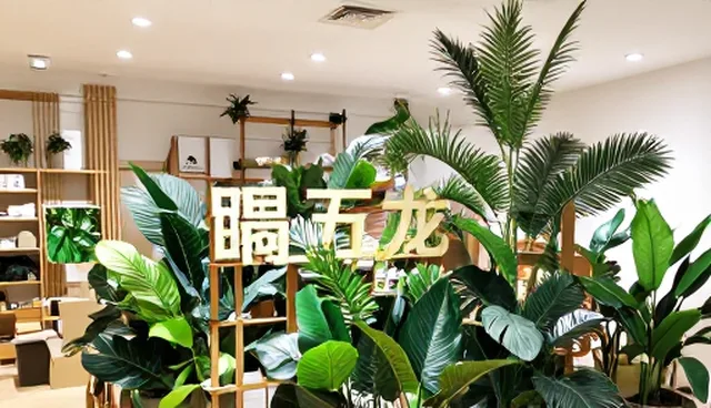 活动策划执行选型关注点:成本与效果的取舍
